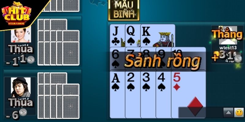 Tính chi dựa theo hình thức đối kháng